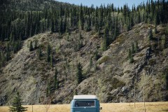 spring2018-into-the-wild-11