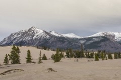 spring2018-into-the-wild-4