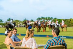 17. Polo-