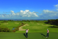 8. Green Monkey Tee Off