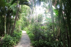 9. Entry Cobbler's Cove
